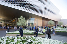 El remodelado pabellón 1.