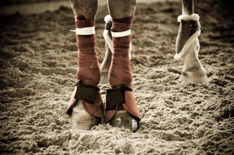 ROLEX Y JOYERÍA JAEL