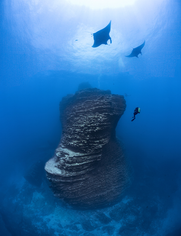 Blancpain y PADI se unen para ayudar a proteger el 30% del océano para 2020