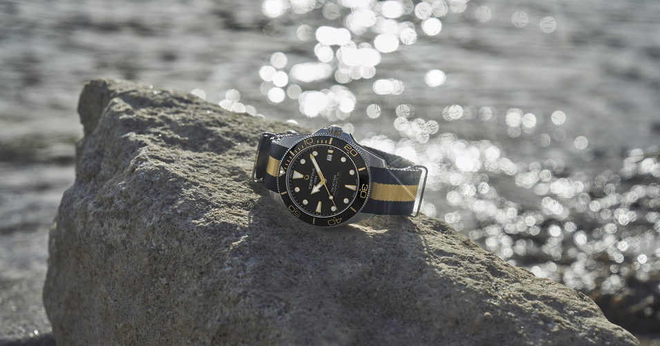 Nuevo "DS Action" aprobado por los submarinistas