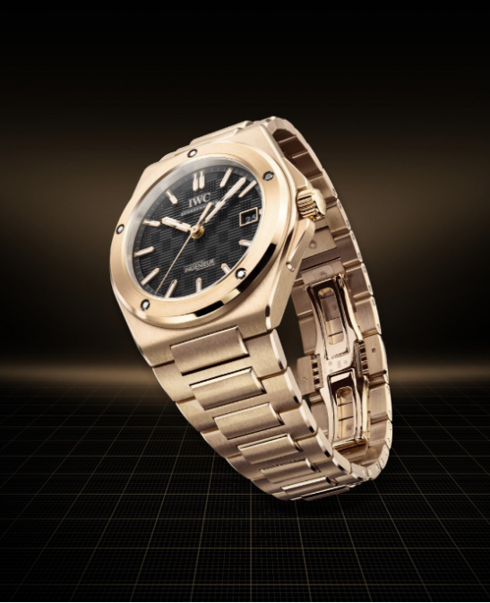 "Ingenieur": evolución continua