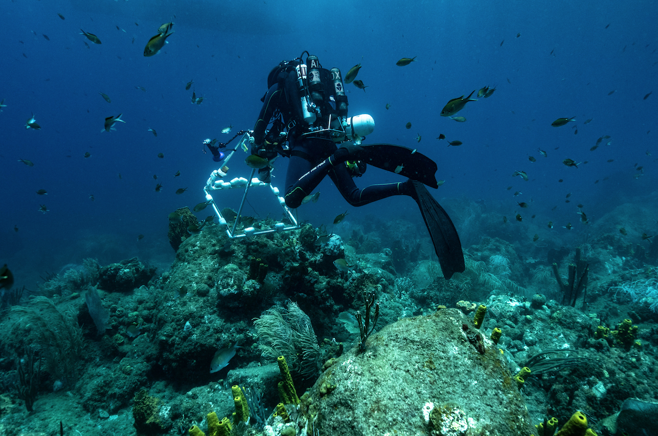 ESPECIAL SOSTENIBILIDAD